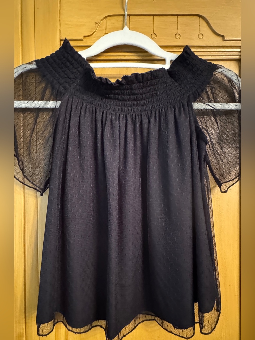 Zara Trafaluc S Black Swiss Dot Sheer Puff Sleeve Smocked Boho Blouse Cottage - Picture 2 of 7